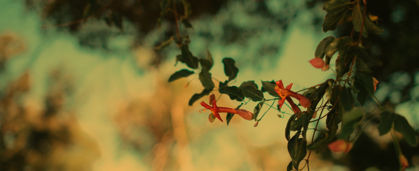 Inauguración del Club House - 1 de Octubre 2025